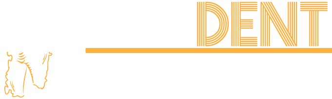 Sardent Digital